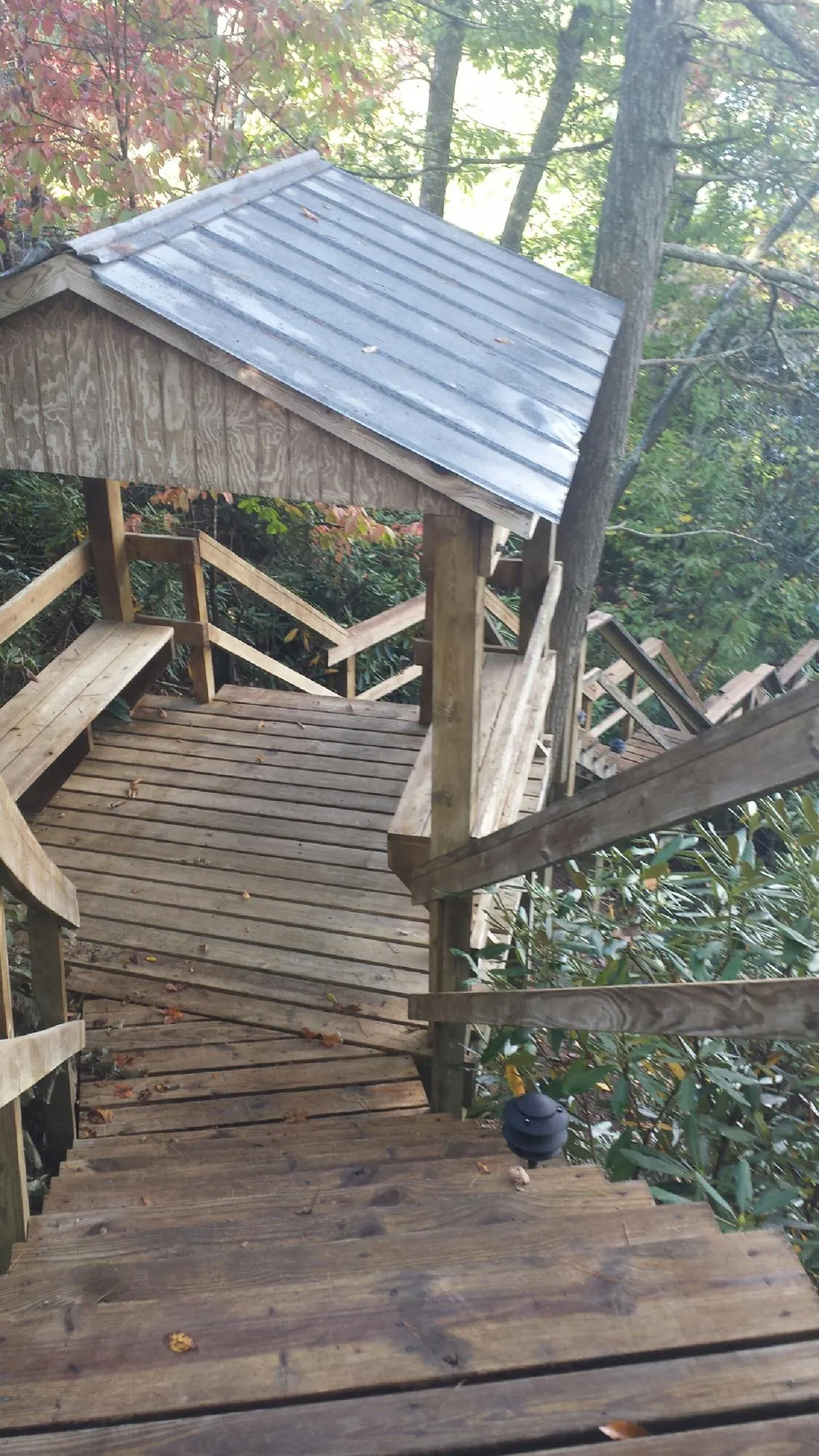 Metal roofed shelter over wooden steps on a wooded walkway — Skylight Repair & Installation work by our crew in Laclede